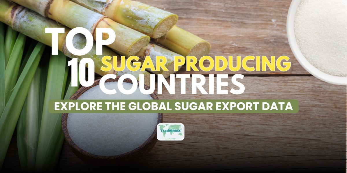 Top 10 Sugar Producing Countries in the World – A Global Market Overview