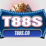 T88S CO Profile Picture