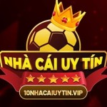 Nhà Cái Uy Tín Vip Profile Picture