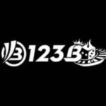 123BCOM LTD Profile Picture