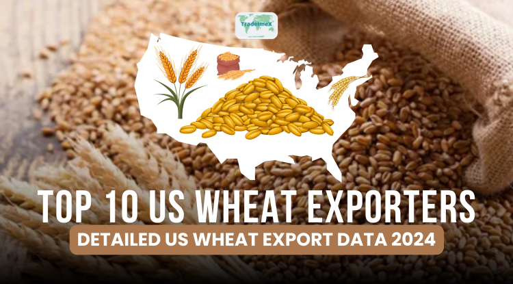 Top 10 US Wheat Exporters: Detailed US Wheat Export Data 2024 - USImportData - US Import Export Data