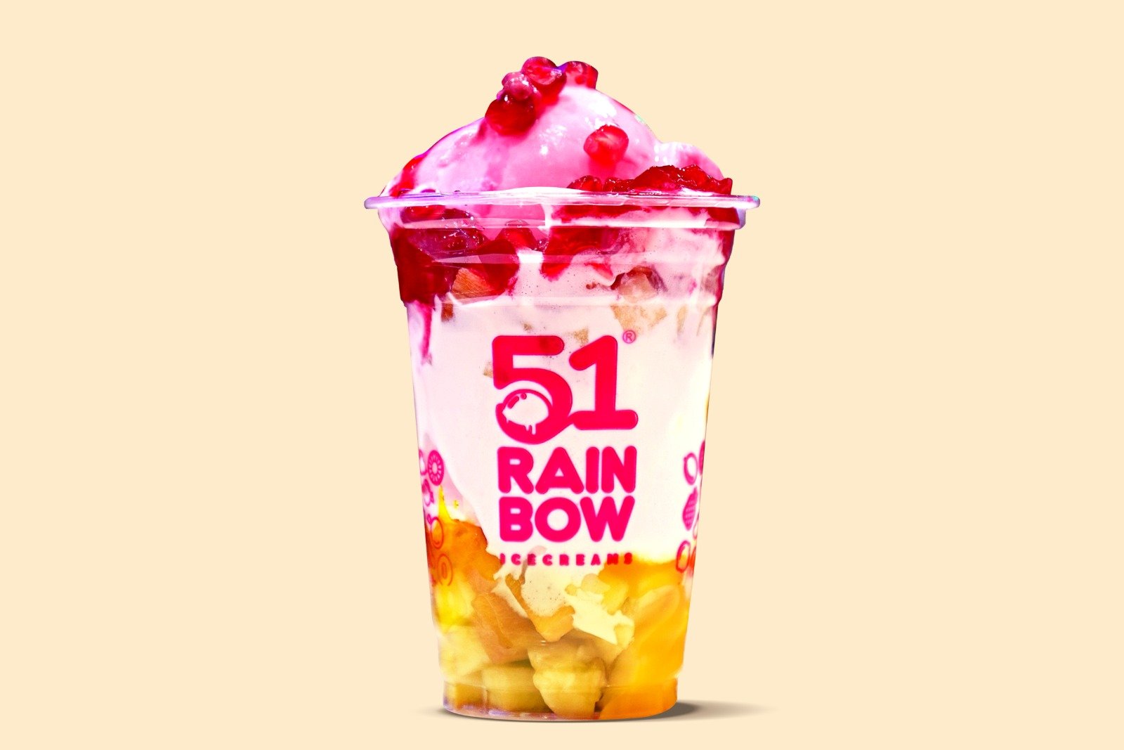 Best Ice Cream Franchise In India - 51 Rainbow Icecream