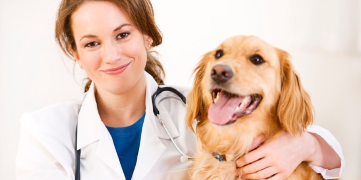 Boost Online Presence of Your Clinic Using Professional SEO Services for Veterinary Clinics